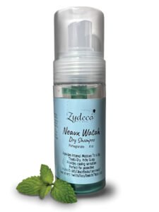 The Healthy Barber - Minty Dry Shampoo